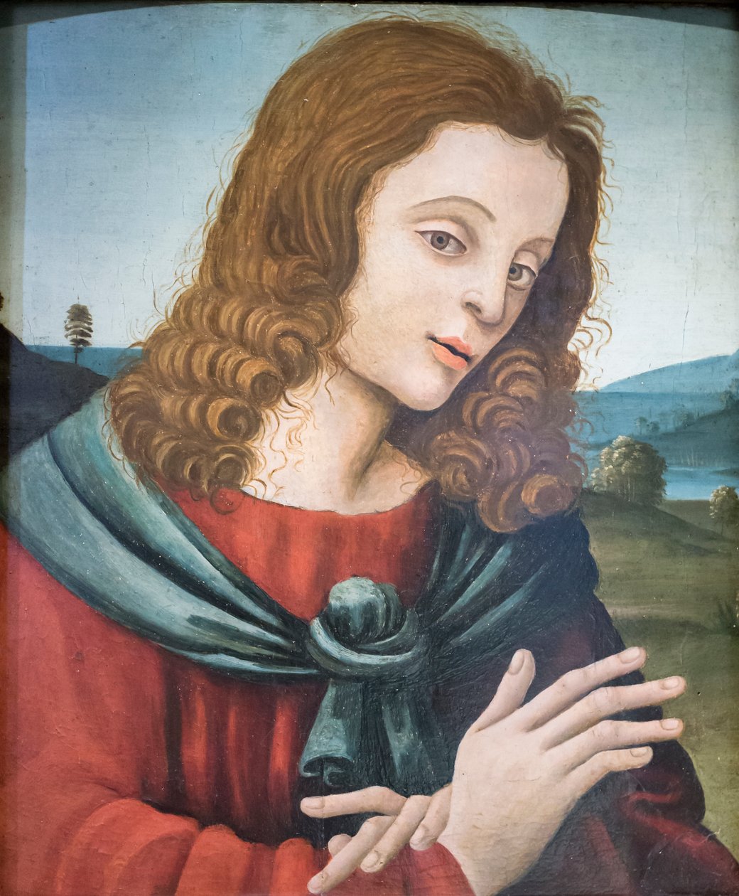 San Juan Evangelista, seguidor de Filippino Lippi (óleo sobre madera) de Filippino Lippi