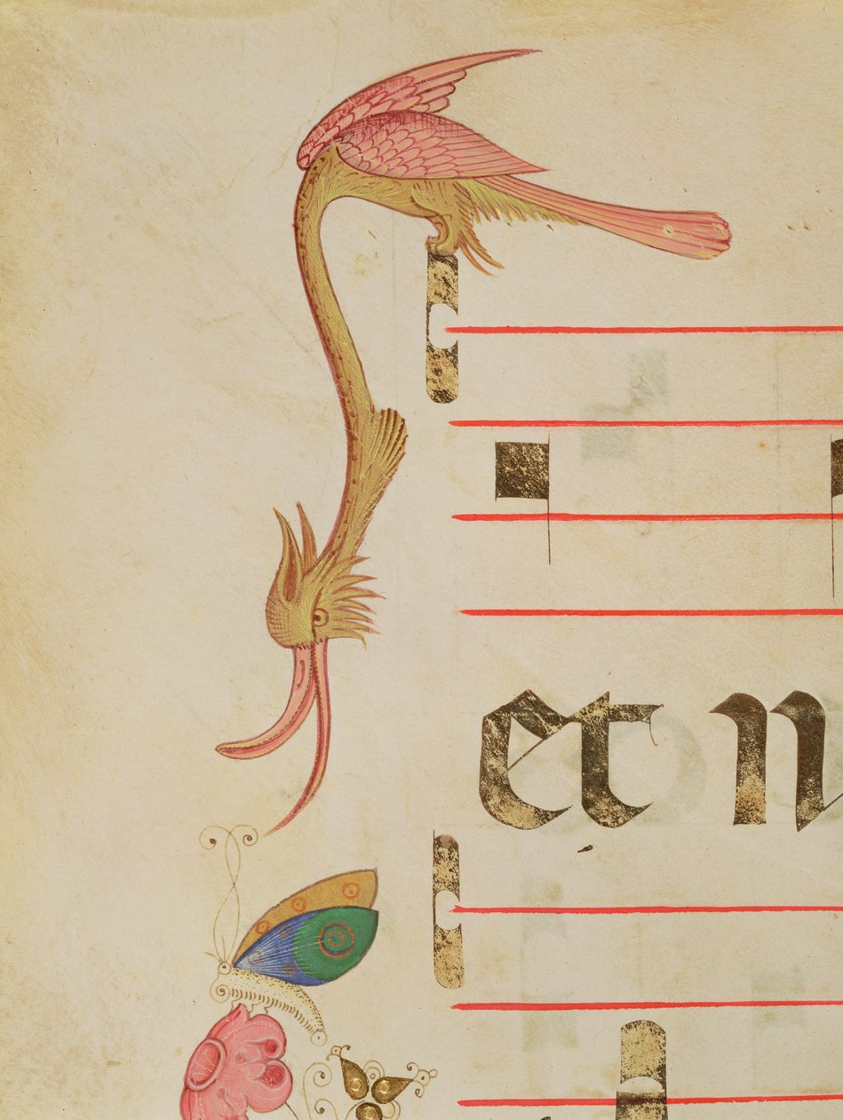 Misal 515 f.9r Pájaro fantástico cazando una mariposa, detalle del borde decorativo de un libro de coro ejecutado antes de 1449 (detalle) de Filippo di Matteo Torelli