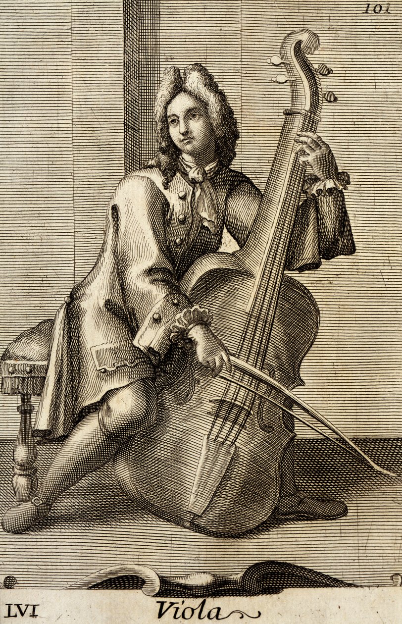 Hombre tocando la viola de Filippo Bonanni