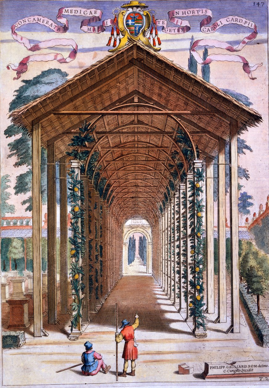 Un paseo cubierto con enrejado, de 