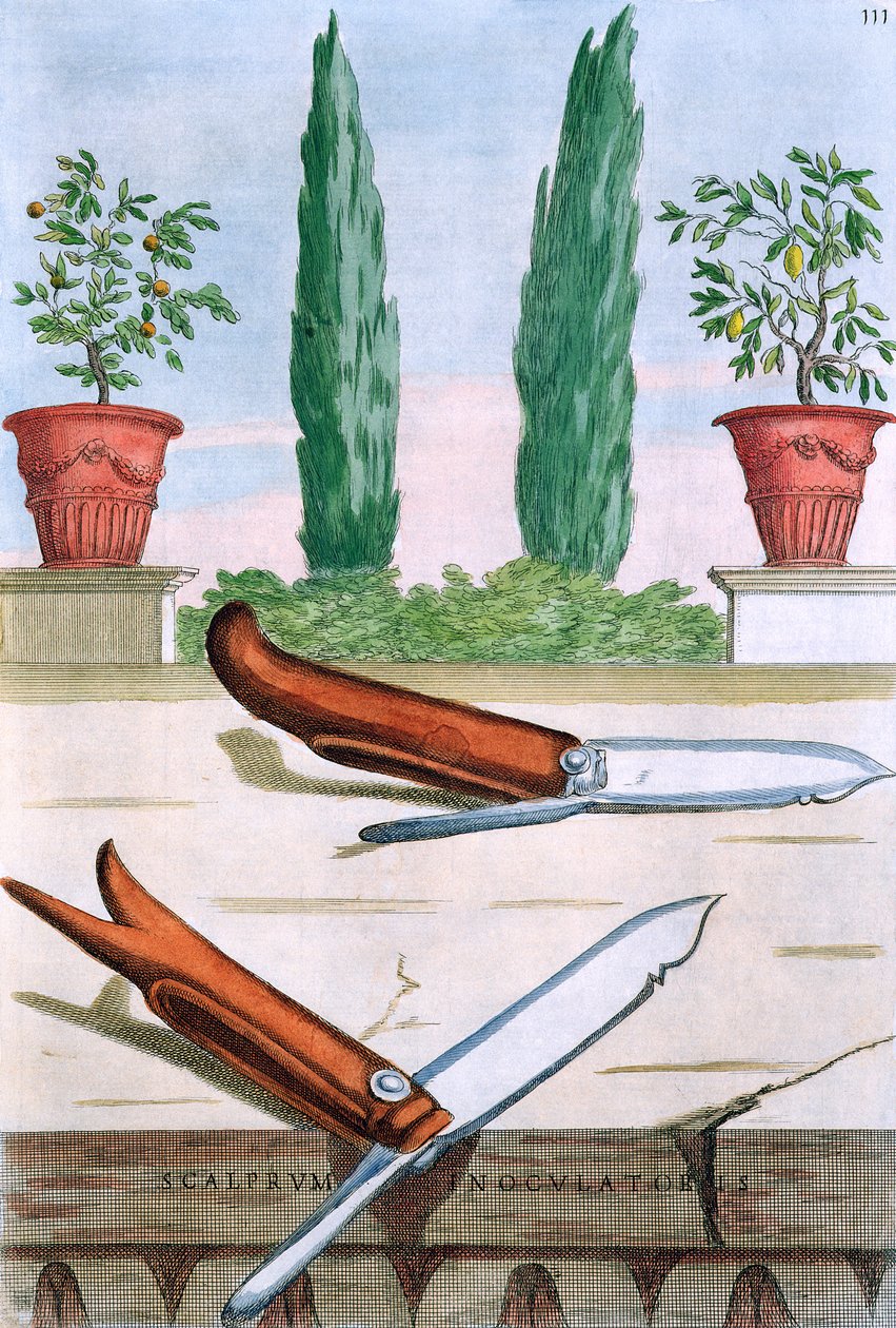 Cuchillo de jardinería, de 