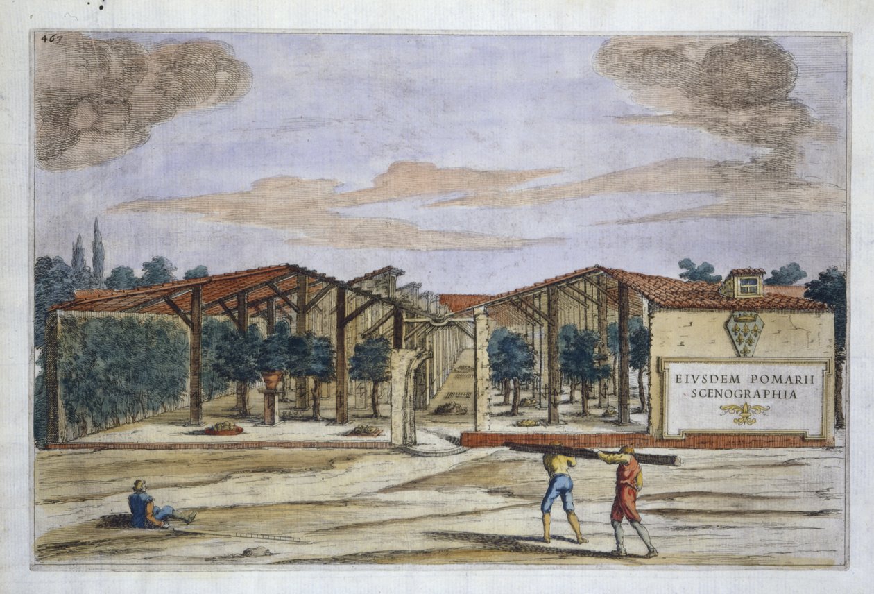 Un huerto cubierto, de Hesperides por Giovanni Battista Ferrari, grabado por Camillo Congio, publicado en 1646 de Filippo after Gagliardi