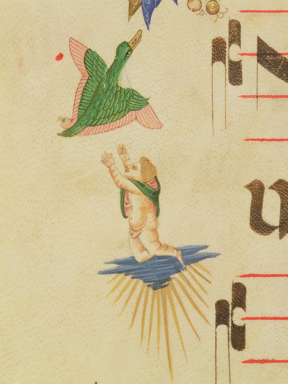 Misal 515 f.13v Querubín con capa tratando de atrapar un pájaro (detalle) de Filippo di Matteo Torelli