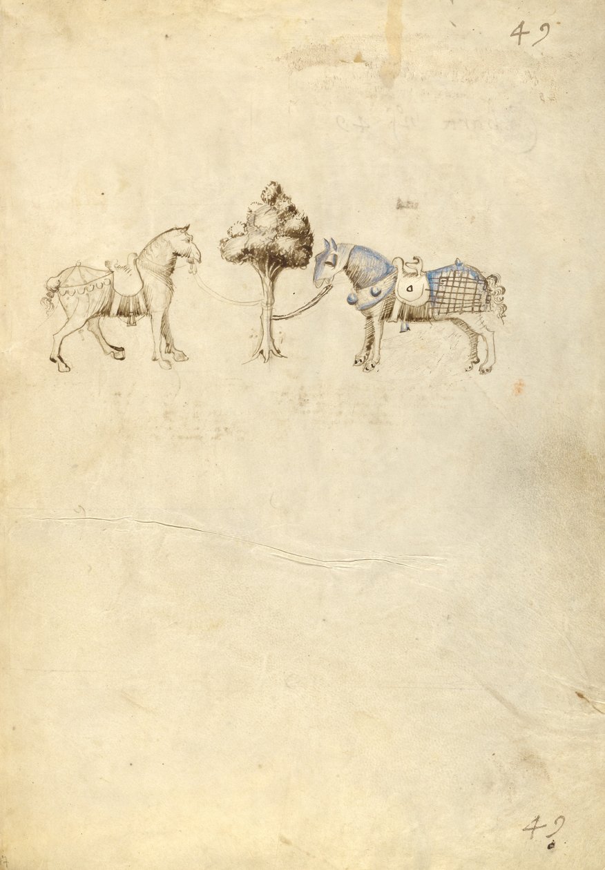 Dos caballos de Fiore Furlan dei Liberi da Premariacco
