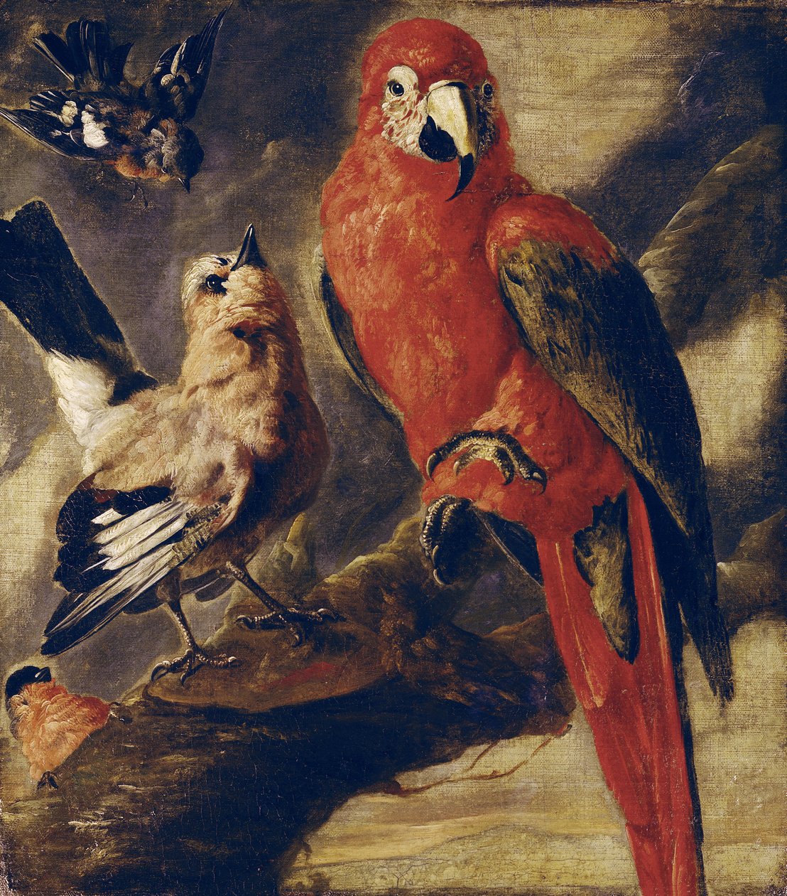 Guacamayo y camachuelo de Flemish School