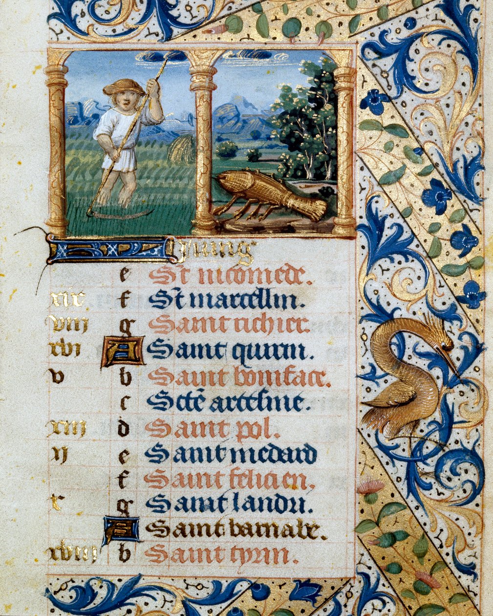 Calendario, junio, un campesino segando y el signo de cáncer. Página tomada de un libro de horas ms. 47, iluminado por la escuela flamenca. Siglo XVI Badia de 