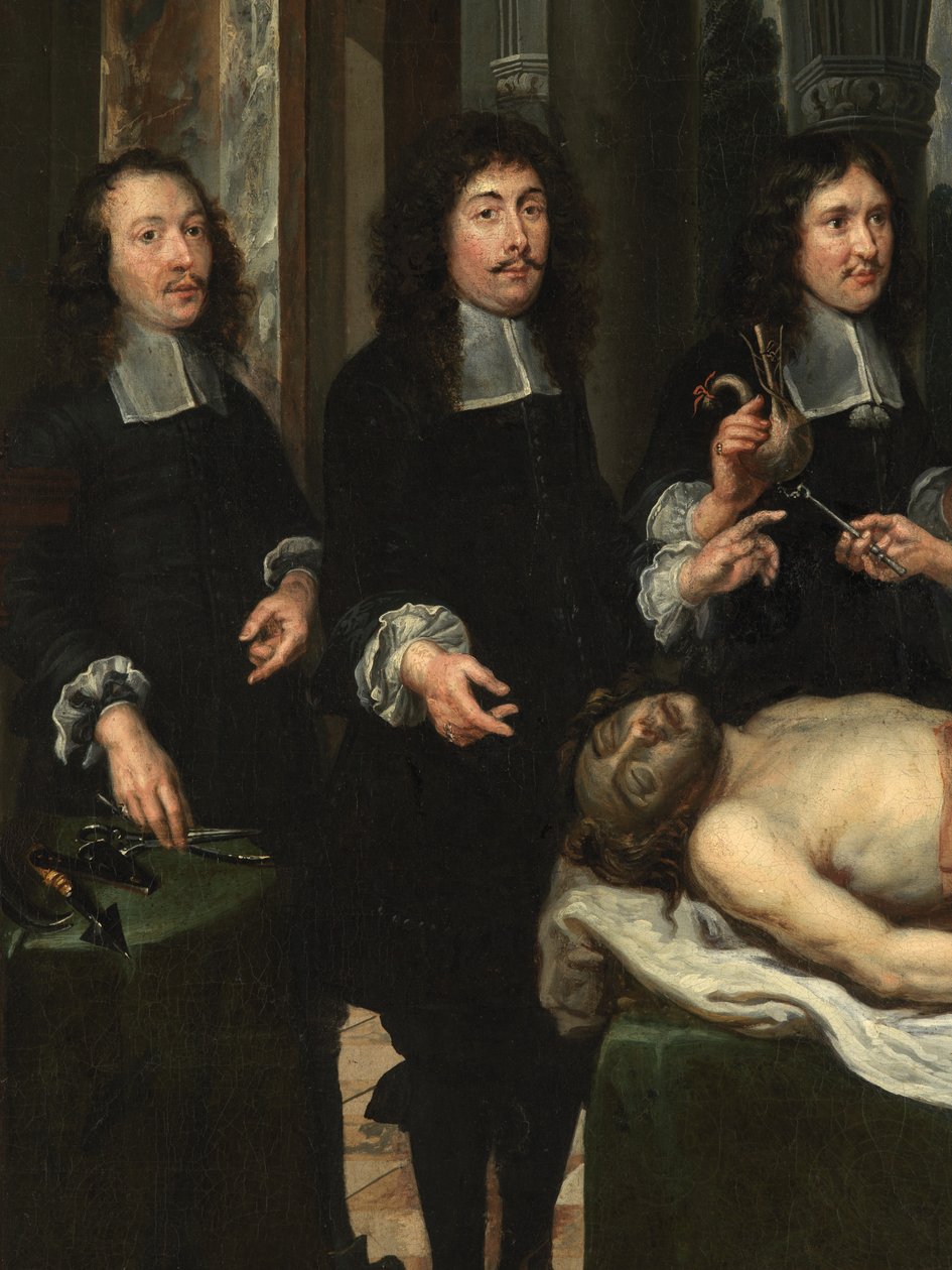 Detalle de Lección de anatomía (óleo sobre lienzo) de Flemish School