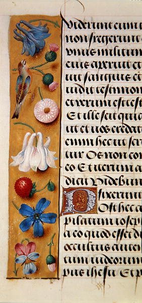 (detalle) de un borde floral de un Libro de Horas, c.1500 de Flemish School