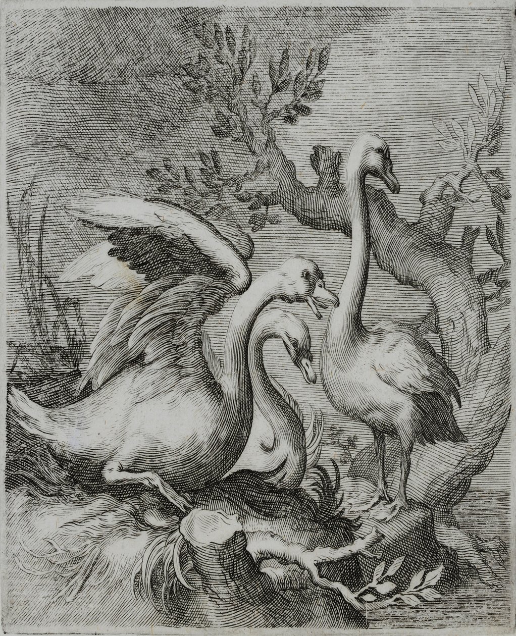 Grabado de maestro antiguo de Flemish School
