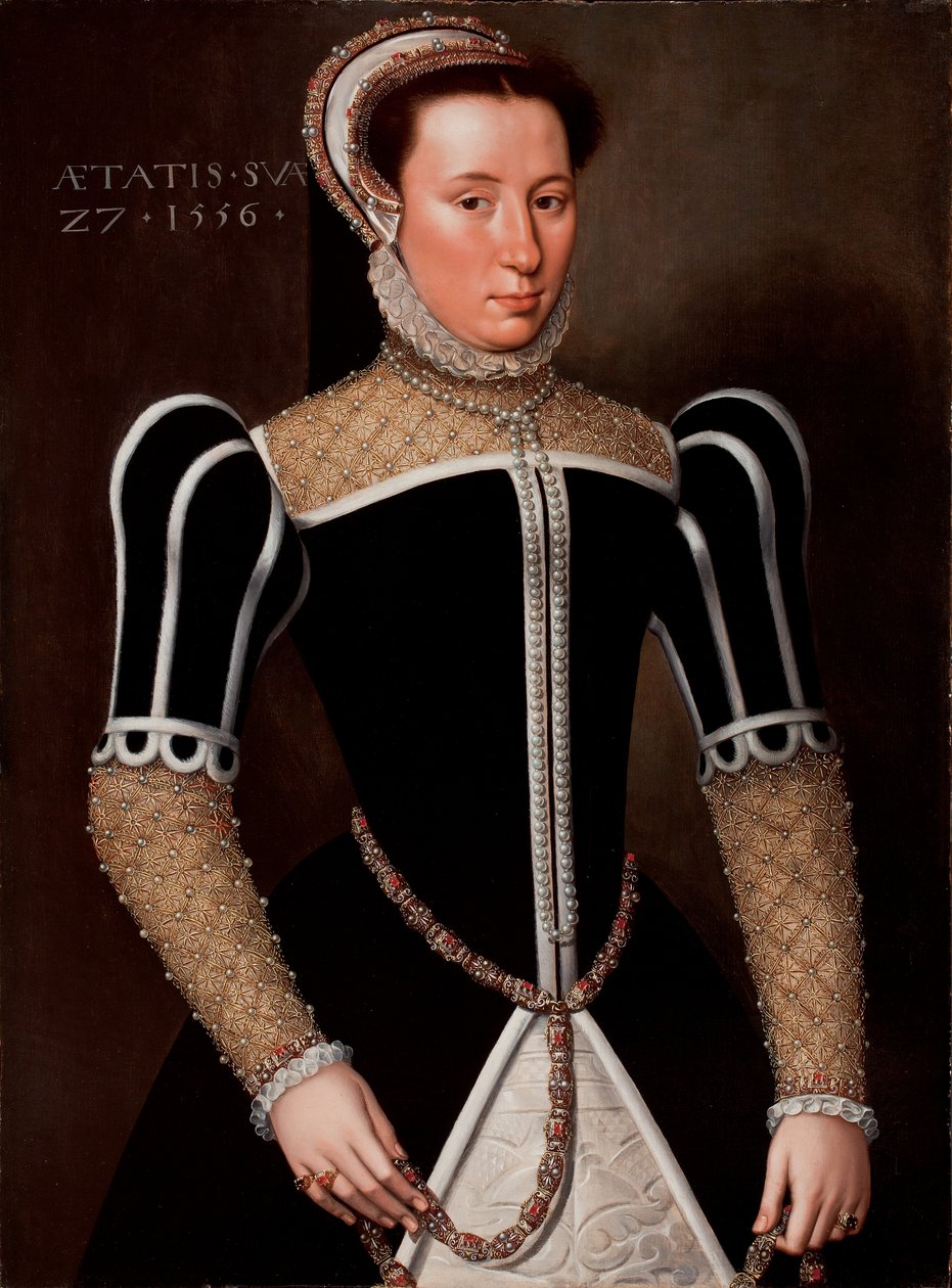 Retrato de una mujer, 1556 de Flemish School