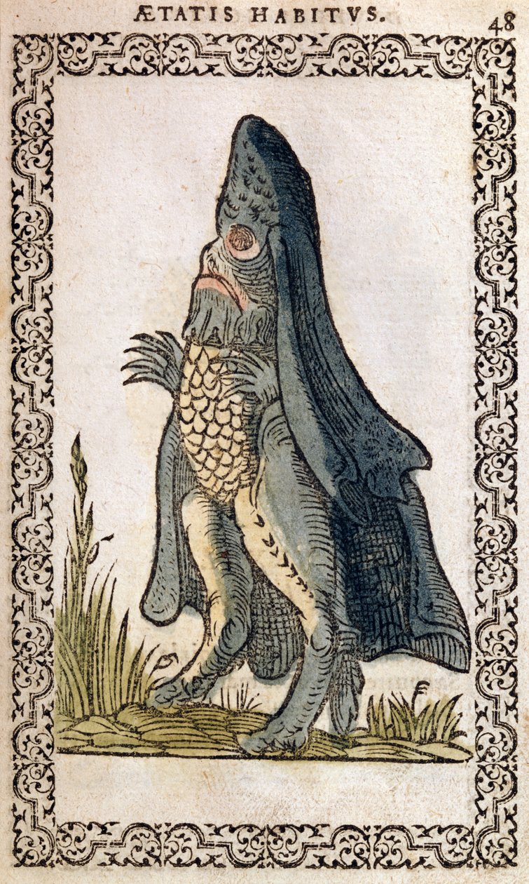 El Obispo del Mar o monstruo marino, ilustración de Omnium fere gentium nostraeque aetatis Nationum Habitus et Effigies de Jean Sluperji, Amberes, 1572 de Flemish School