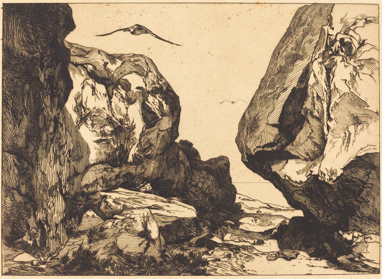 Garganta en las rocas (Gorge dans les rochers) de Félix Bracquemond after Jules Laurens