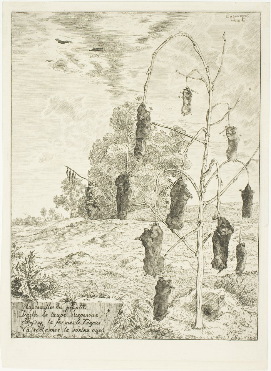 Topos de Félix Henri Bracquemond