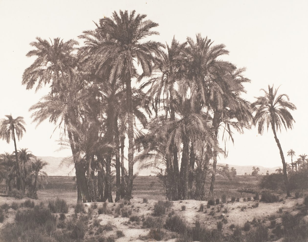 Karnak, Grupo de Dattiers visto desde el punto A, 1851-52, impreso 1853-54 de Félix Teynard