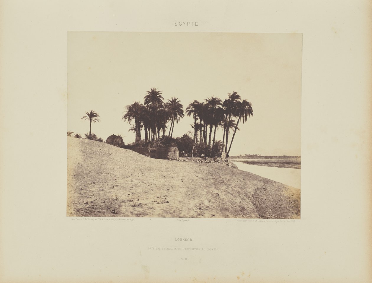 Luxor. Palmeras datileras y Jardín de la Expedición de Luxor de Félix Teynard