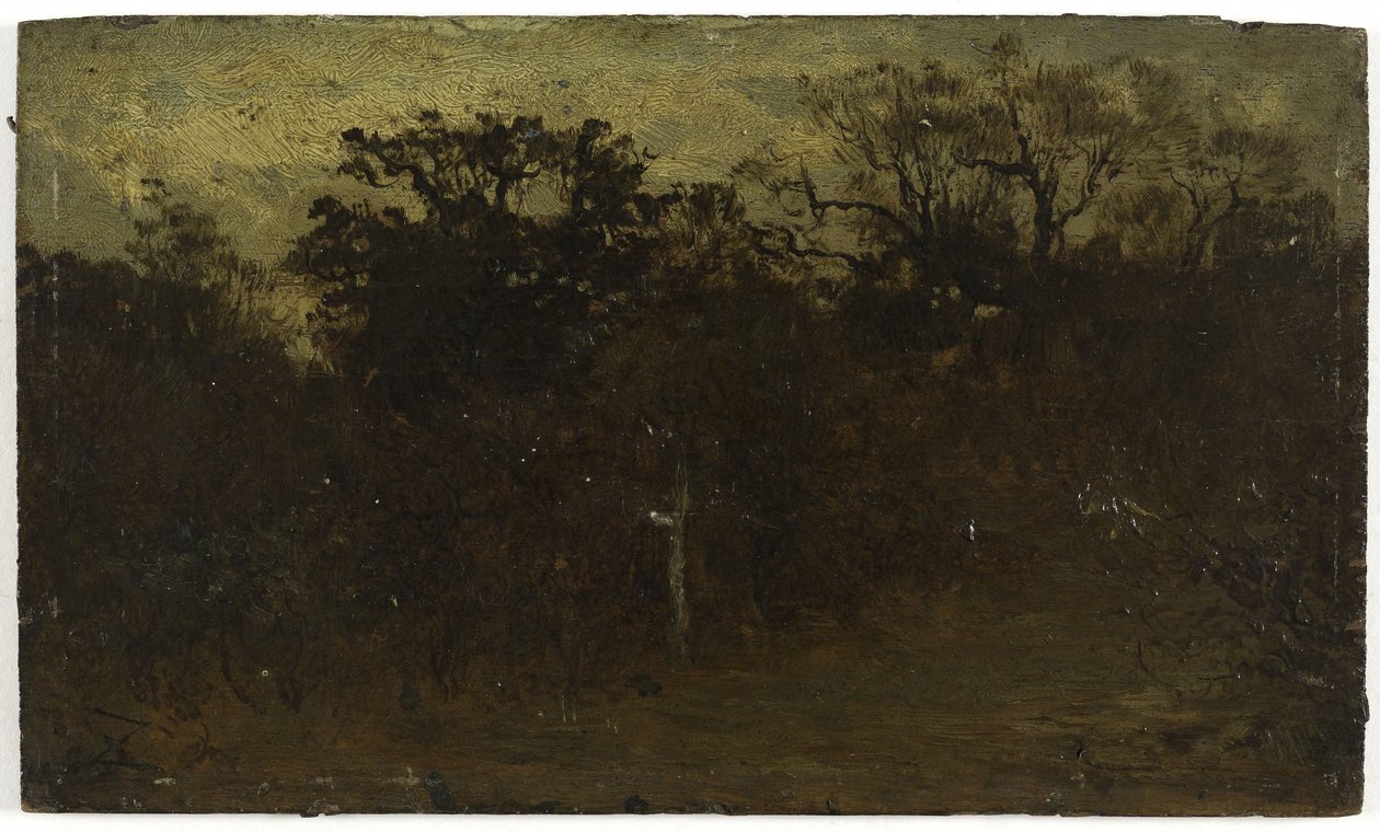 Rincón del bosque, entre 1850 y 1860 (óleo sobre madera) de Félix Ziem