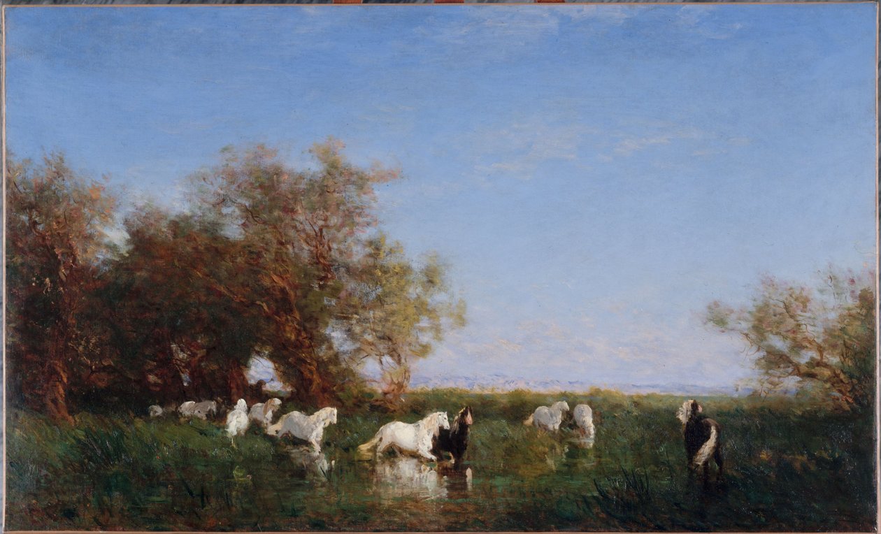 Caballos salvajes en la Camarga, entre 1890 y 1895 (óleo sobre lienzo) de Félix Ziem