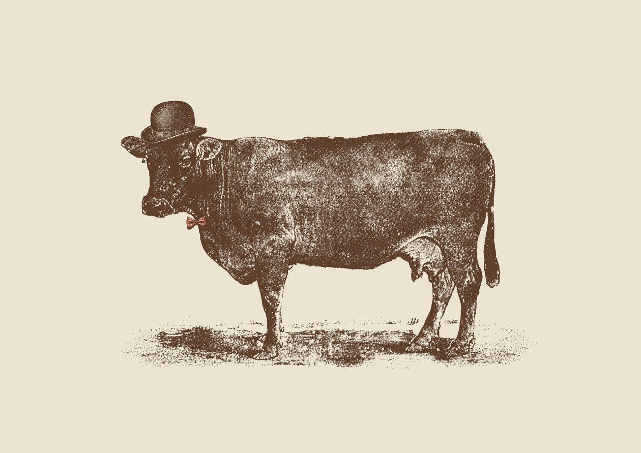 Nuez de Vaca de Florent Bodart
