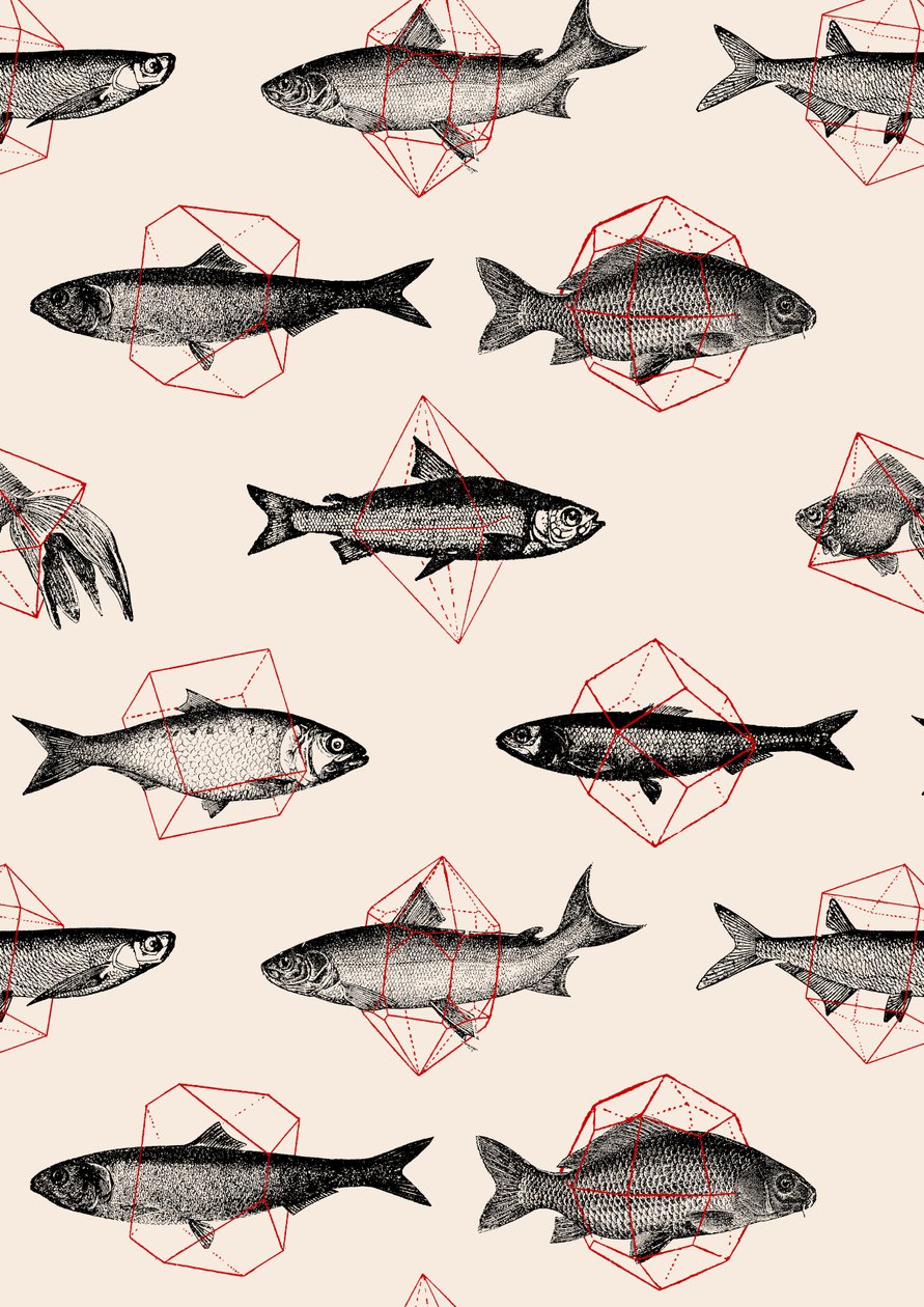 peces en geométricos de Florent Bodart