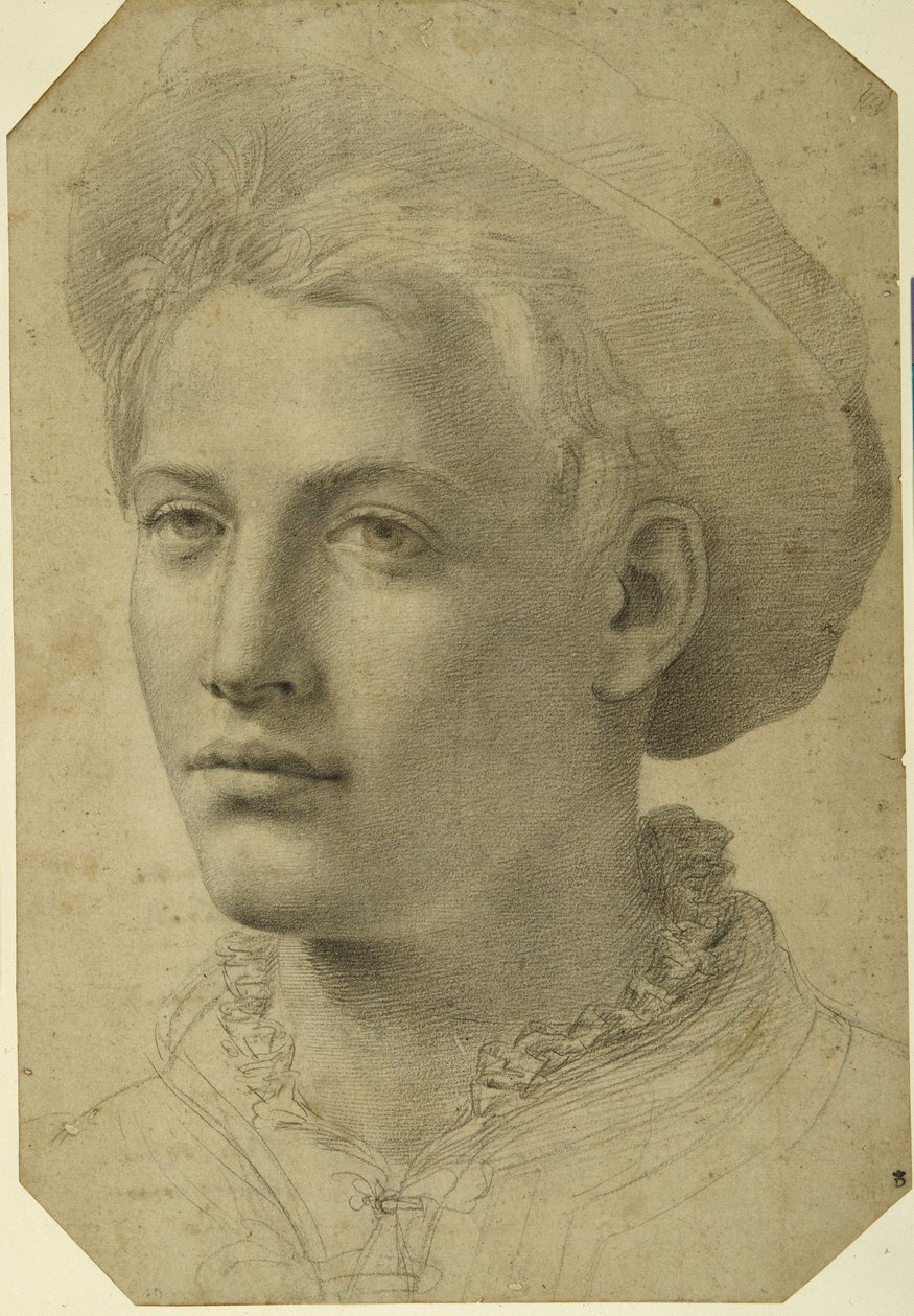 Retrato de un joven con gorra, c.1530-40 de Florentine School