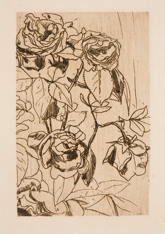 Estudio de rosas de Floris Verster