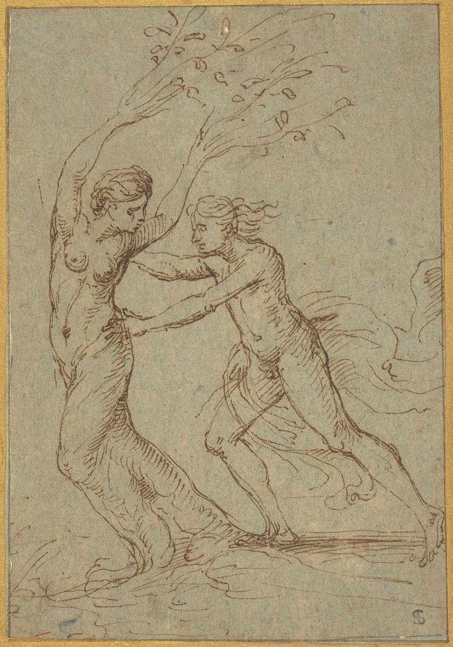 Apolo y Dafne de Follower of Giulio Romano