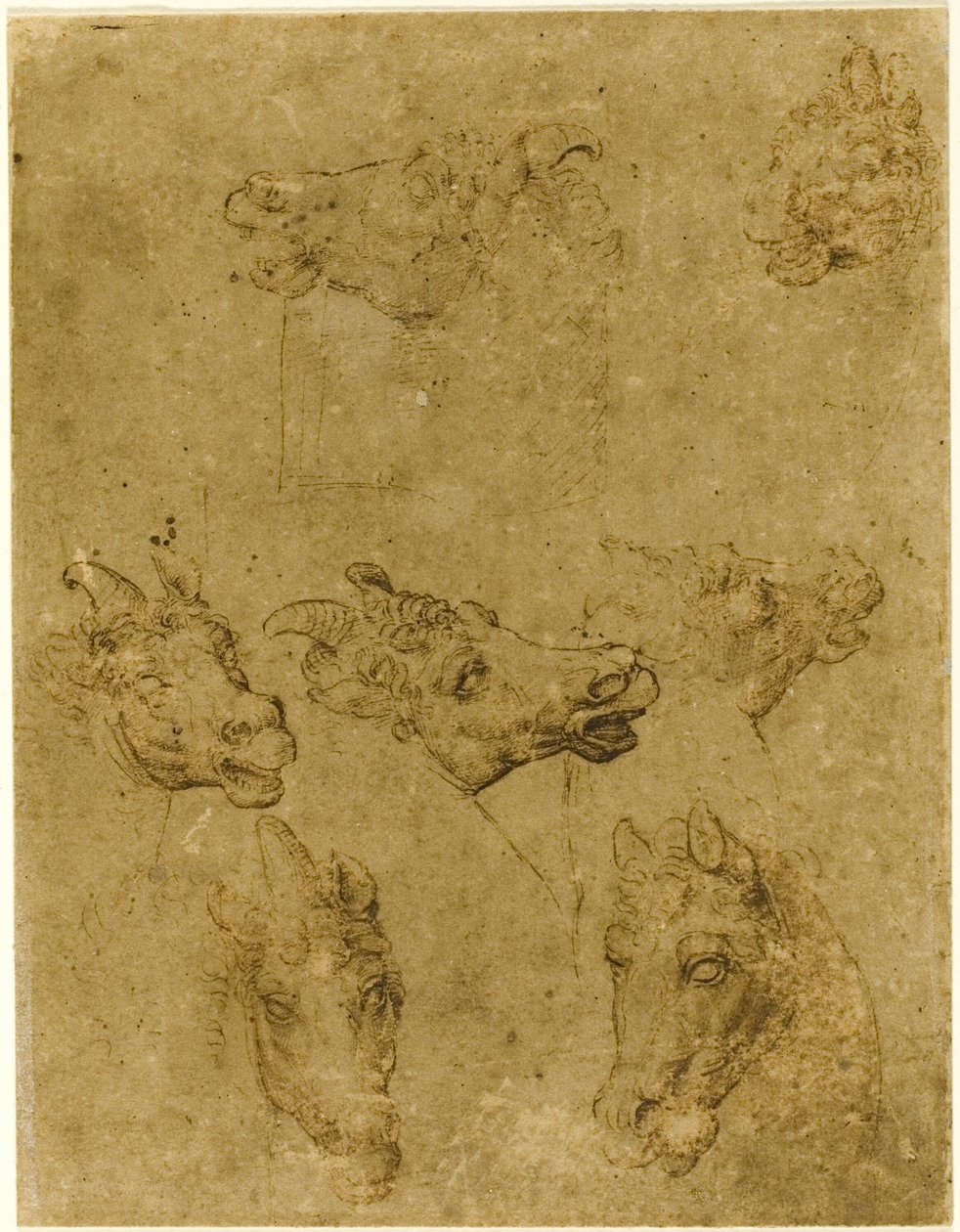Cabezas de caballos y unicornios de Follower of Leonardo da Vinci