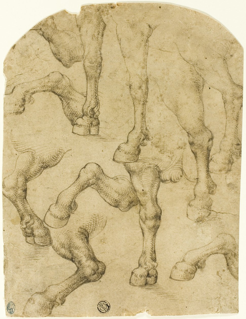 Bocetos de patas de caballos (o dromedarios) (anverso); columnas (reverso) de Follower of Leonardo da Vinci