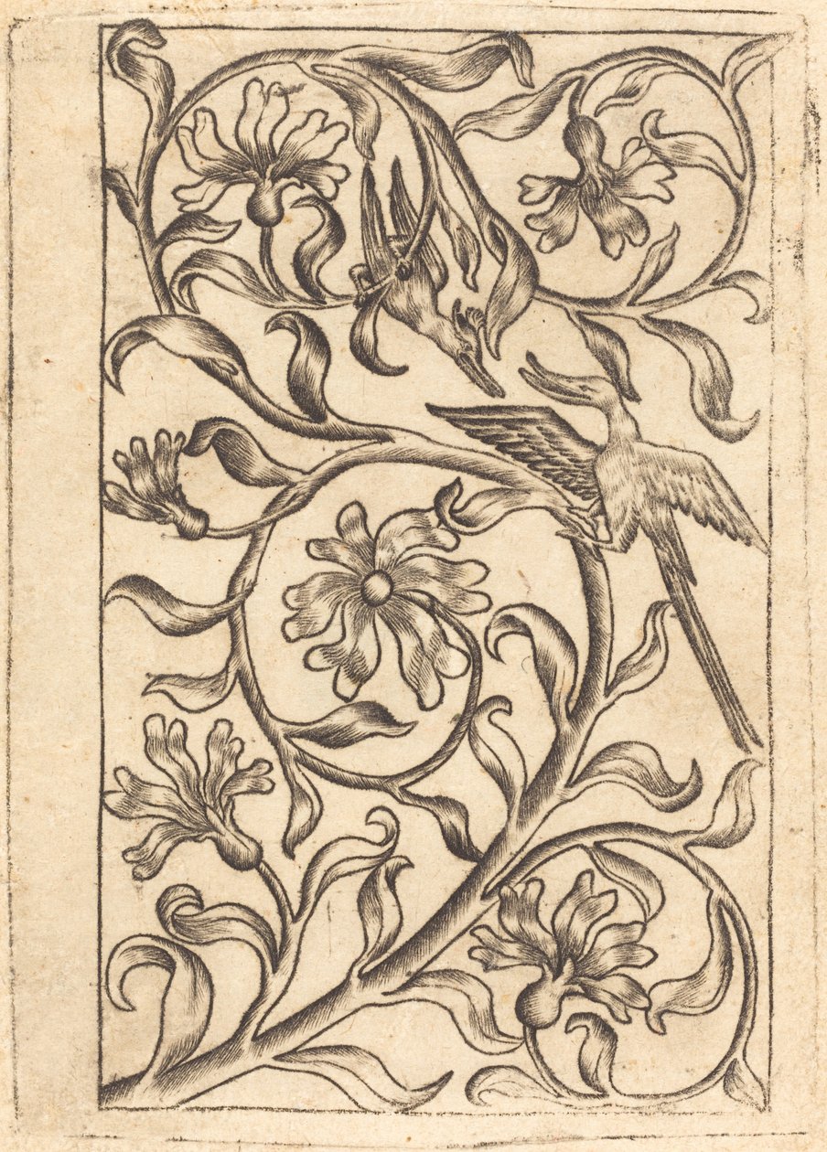 Ornamento de Vid con Dos Pájaros de Follower of Master of the Playing Cards