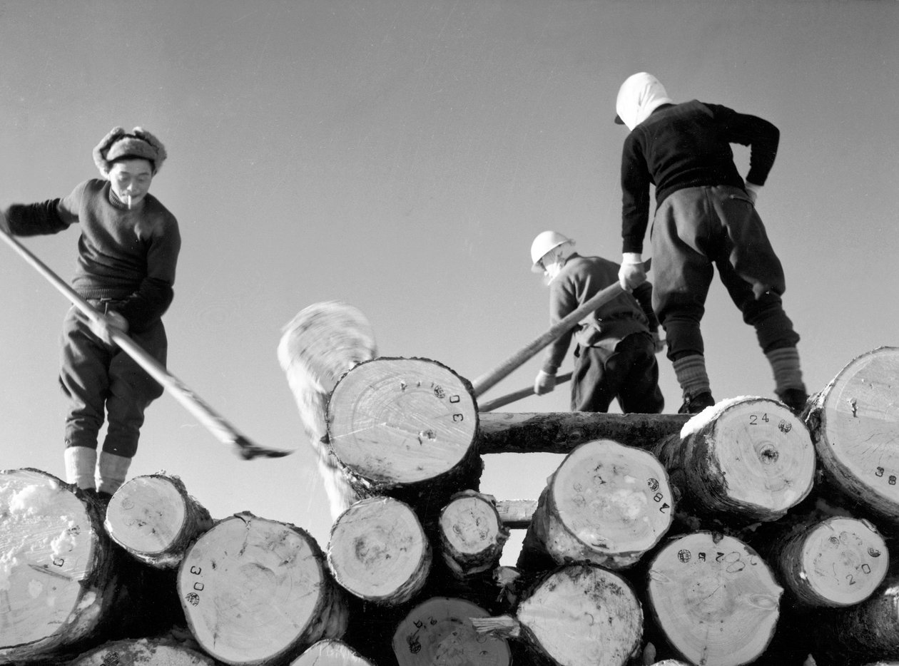 Cortadores de madera trabajando de Fosco Maraini