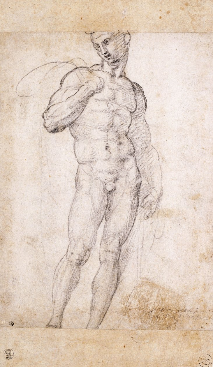 Un desnudo sosteniendo una capa sobre sus hombros de Fra Bartolomeo