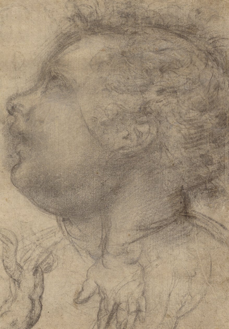 Cabeza de niño, ángel y mano (anverso); figura masculina (reverso) de Fra Bartolommeo (Baccio della Porta)