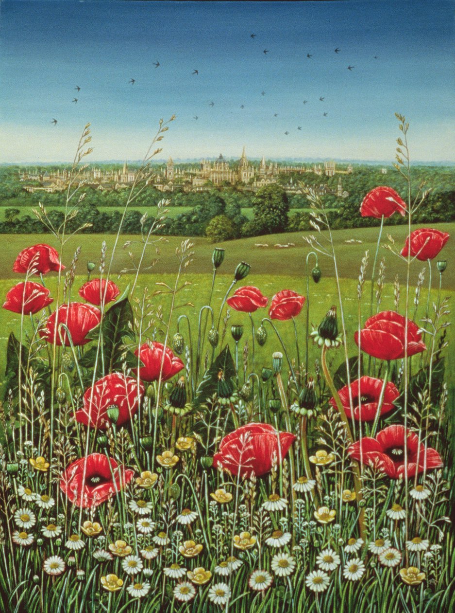 Amapolas de Oxford de Frances Broomfield