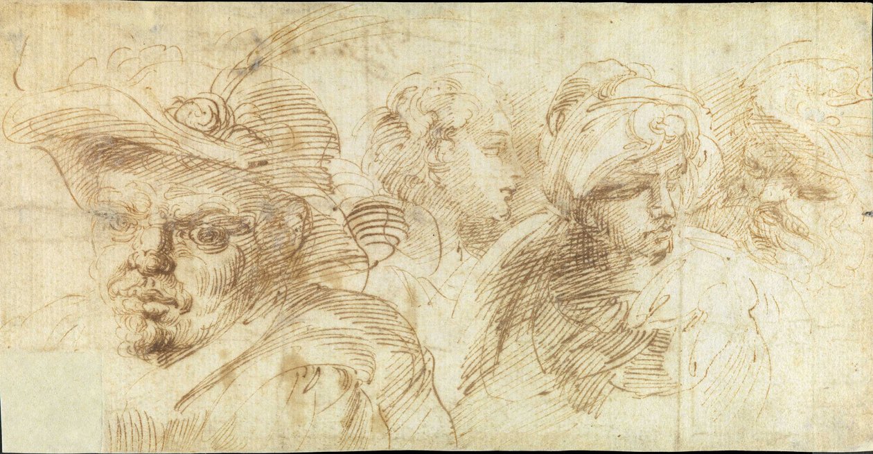 Estudios de cabezas de Francesco Brizio