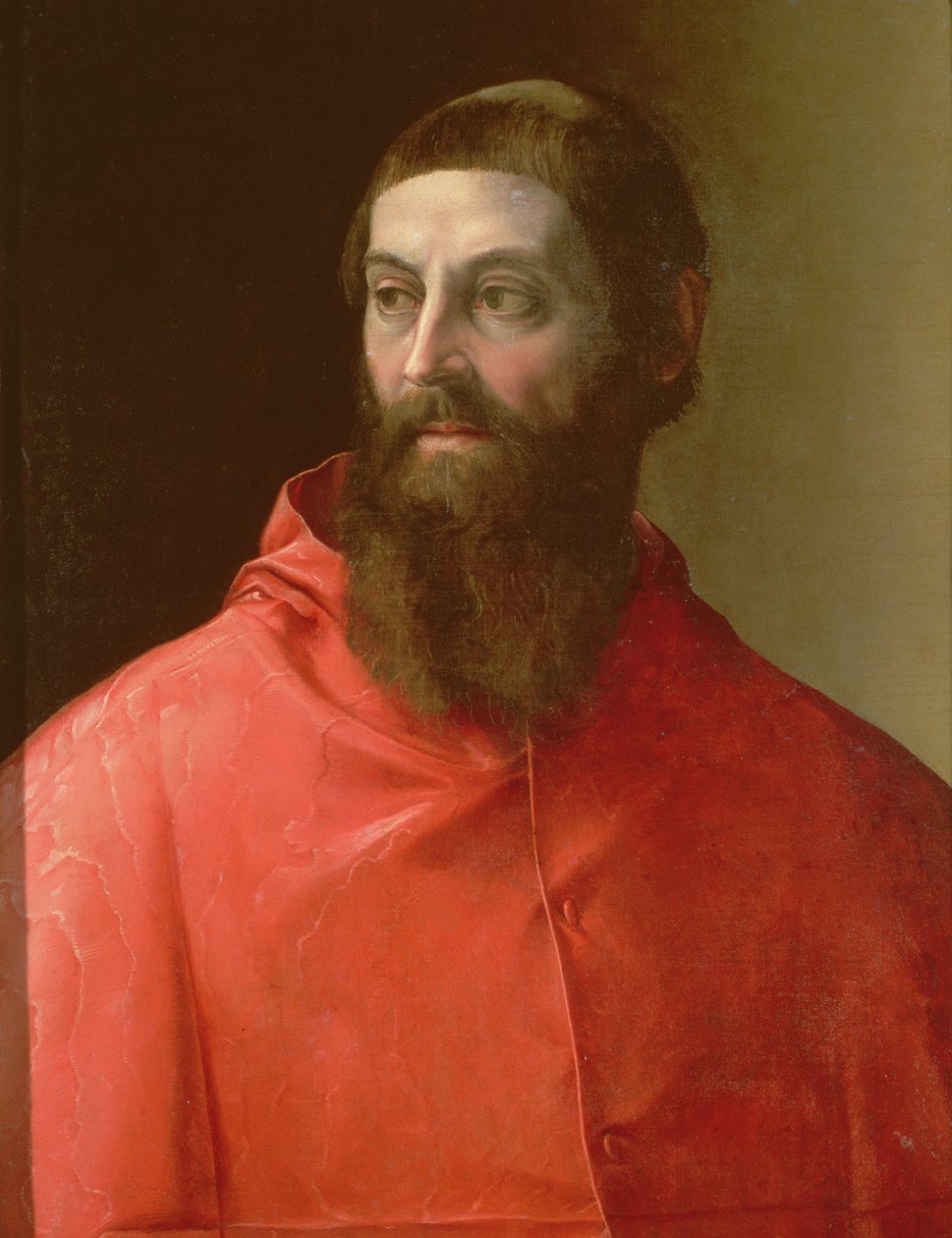 Cardenal Rudolfo Pio, Obispo de Faenza, 1528 de Francesco de Rossi Salviati Cecchino