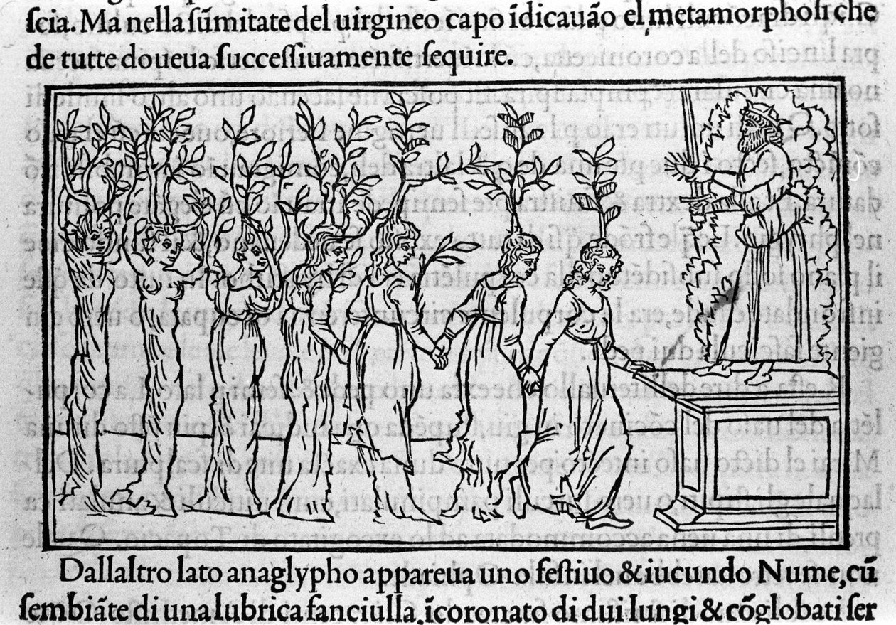 Grabado en "Hypnerotomachia Polyphili" (el sueño de Poliphila) por el monje dominico Francesco Colonna, Venecia de Francesco Colonna