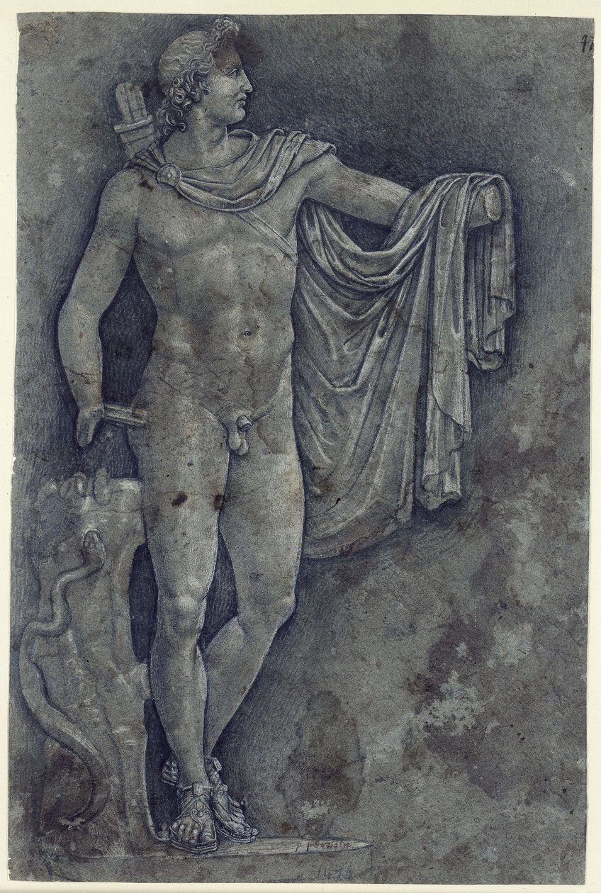 Apolo del Belvedere de Francesco Francia
