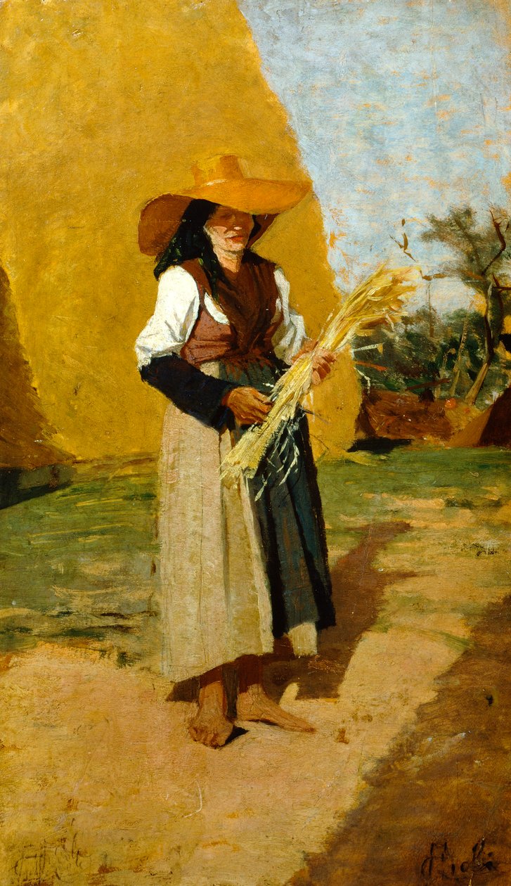 Estudio para Espigadora (mujer de campo) de Francesco Gioli (1846-1922), óleo sobre tabla, 32x19 cm de Francesco Gioli