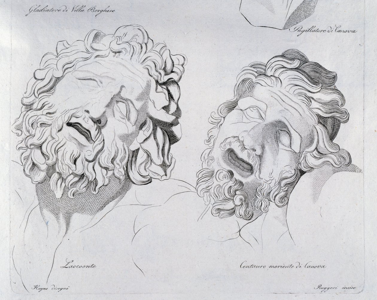 Cabezas de Laocoonte y Centauro moribundo por Canova de Francesco Hayez
