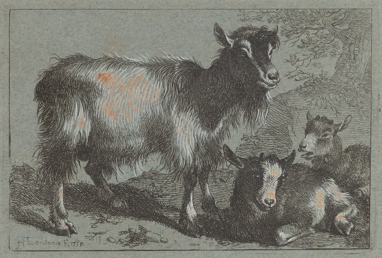 Cabra y dos cabritos, 1758 de Francesco Londonio