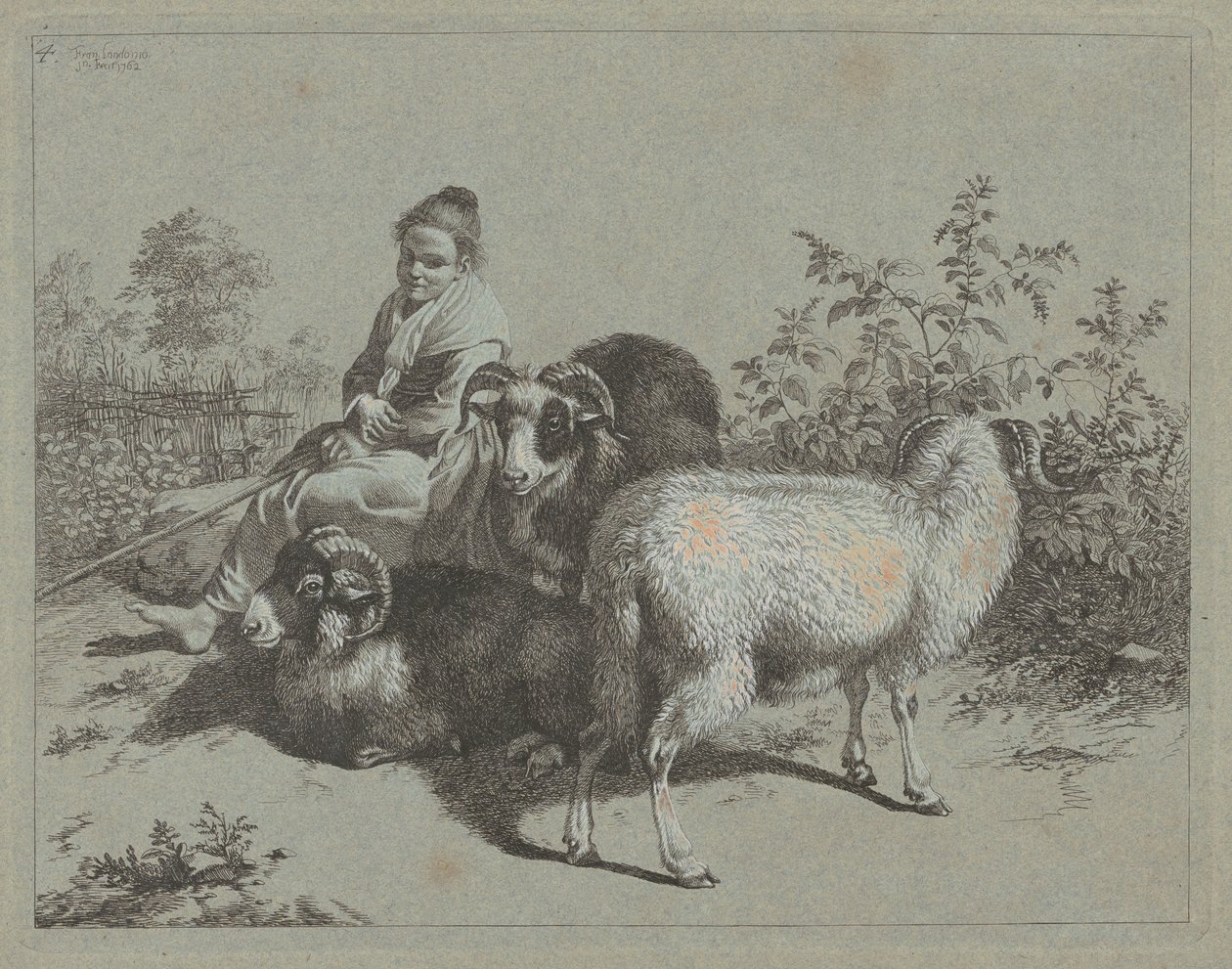 Pastora sentada con tres carneros, 1762 de Francesco Londonio
