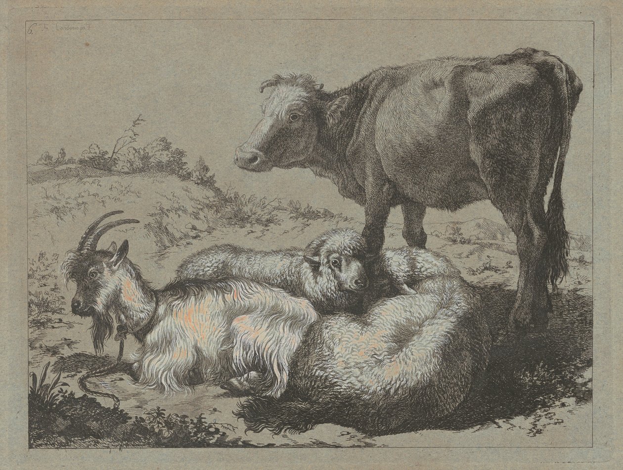Buey de pie, dos ovejas y una cabra, c. 1762 de Francesco Londonio