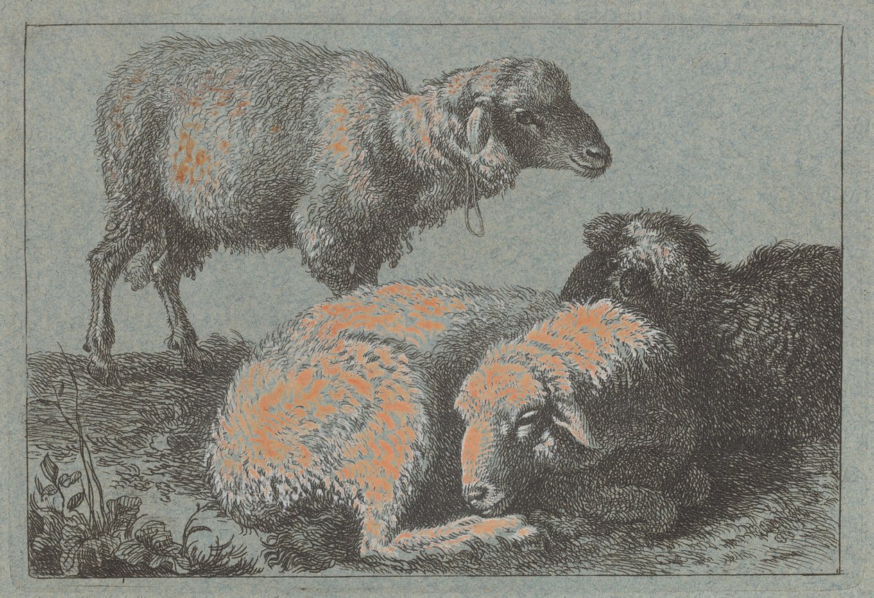Dos Ovejas Reclinadas y una Oveja de Pie, 1757-1758 de Francesco Londonio