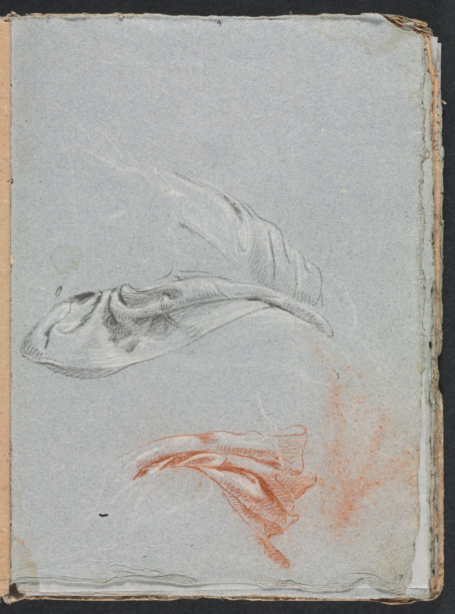 Cuaderno de bocetos de Verona: Estudios de drapeado (página 17) de Francesco Lorenzi