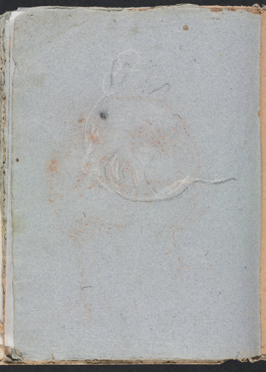 Cuaderno de Bocetos de Verona: Cabeza (página 30) de Francesco Lorenzi