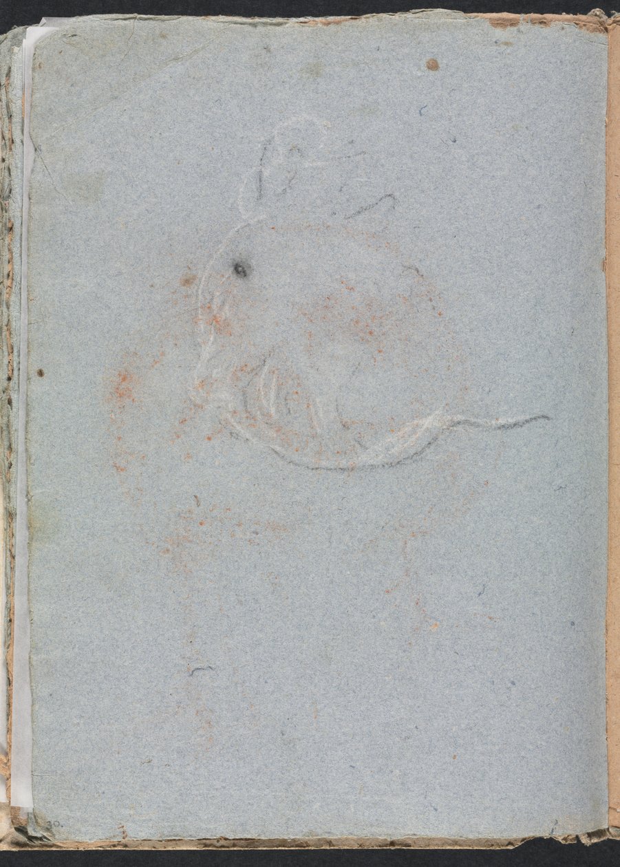 Cuaderno de bocetos de Verona: Cabeza página 30, 1760 de Francesco Lorenzi