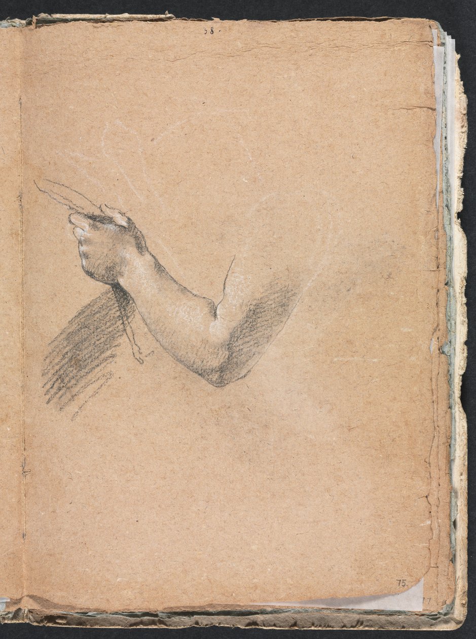 Cuaderno de bocetos de Verona: Brazo izquierdo y mano (página 75) de Francesco Lorenzi