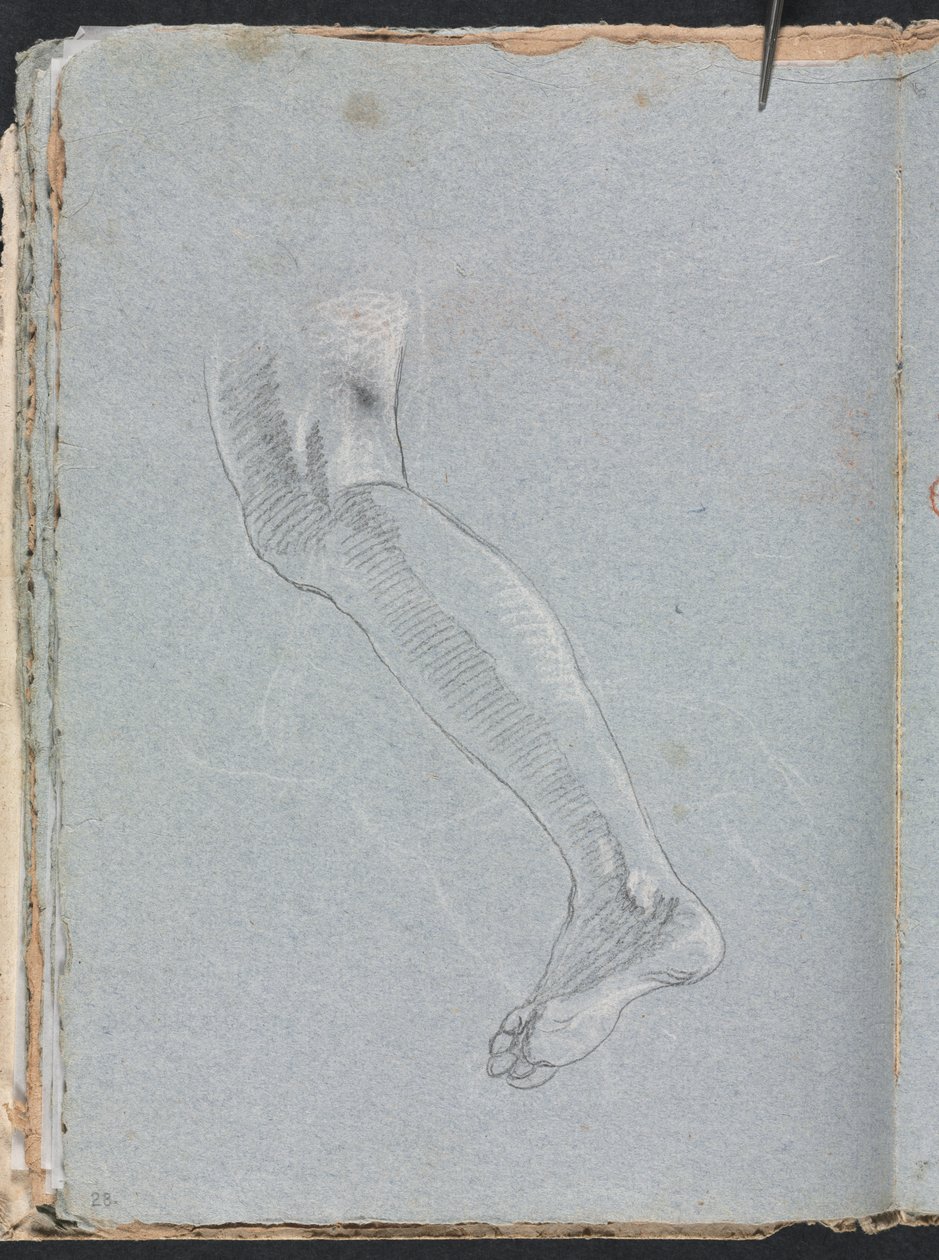 Cuaderno de Bocetos de Verona: Pierna izquierda (página 28) de Francesco Lorenzi
