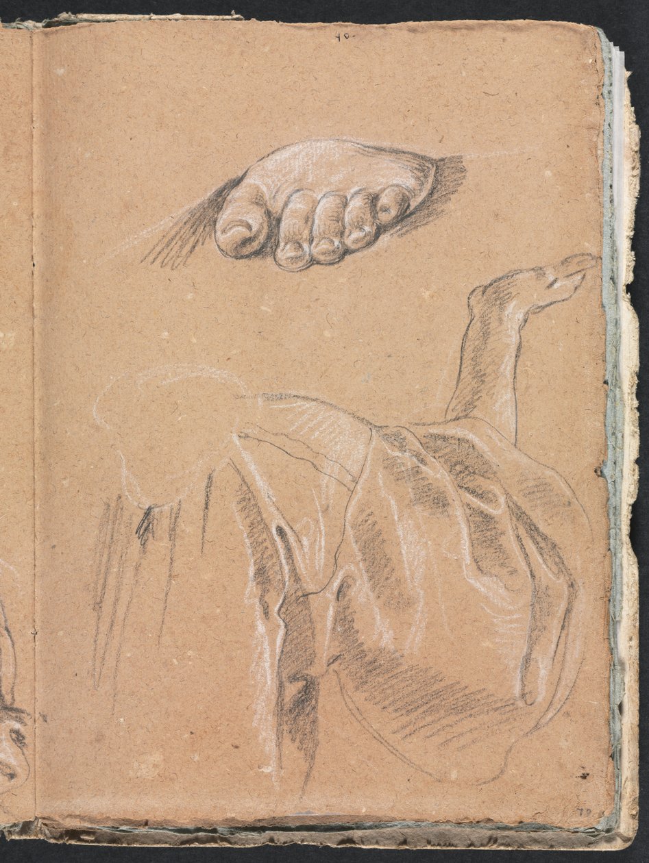 Cuaderno de Bocetos de Verona: Estudio de un pie izquierdo y estudio de drapeado con brazo derecho (página 79) de Francesco Lorenzi