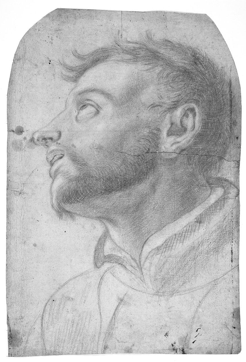 Cabeza de un hombre que mira hacia arriba de Francesco Solimena